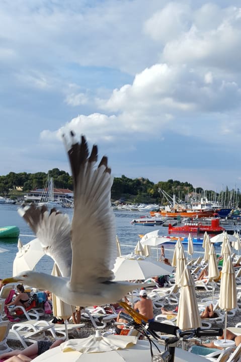 Gartenanlage Maistra Select Belvedere Resort