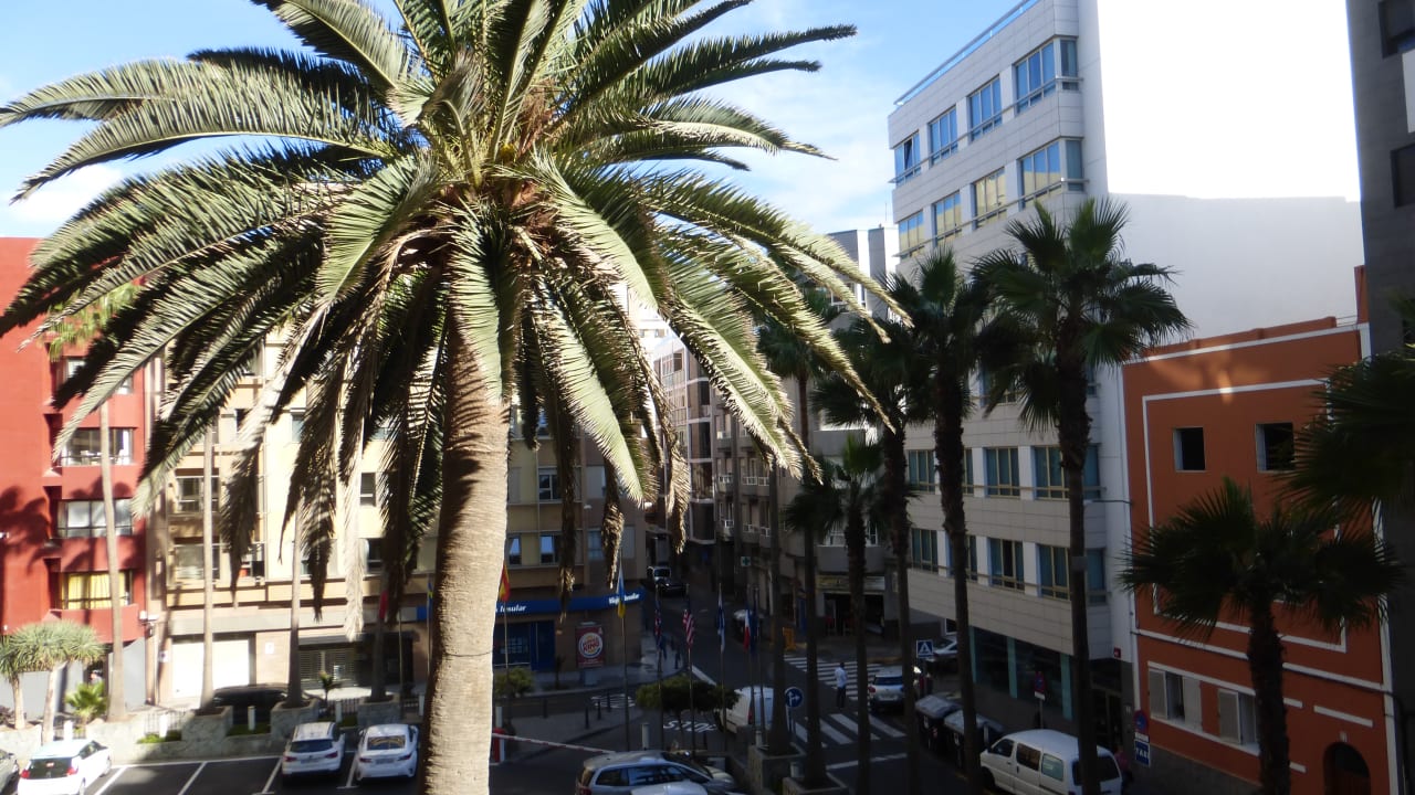 Ausblick Bull Reina Isabel & Spa