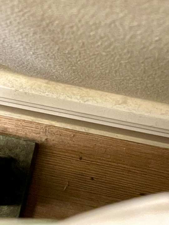 Zimmer Best Western Wein- & Parkhotel Nierstein