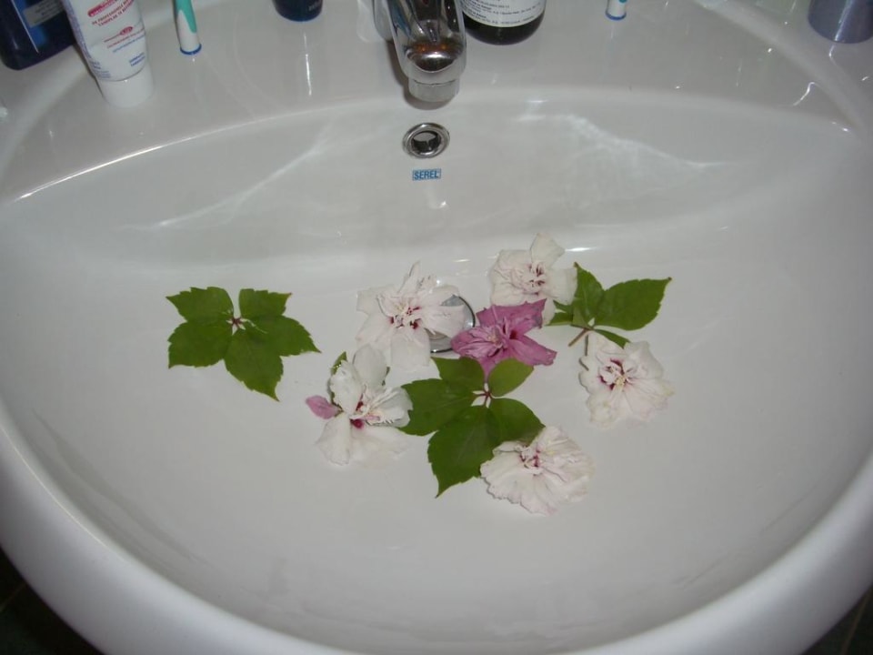 Сюрприз горничной Selectum Family Resort Side