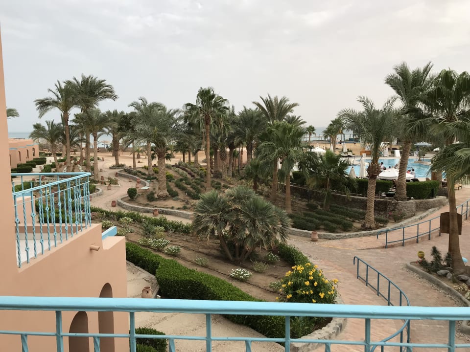 Pool Club Paradisio El Gouna, Red Sea