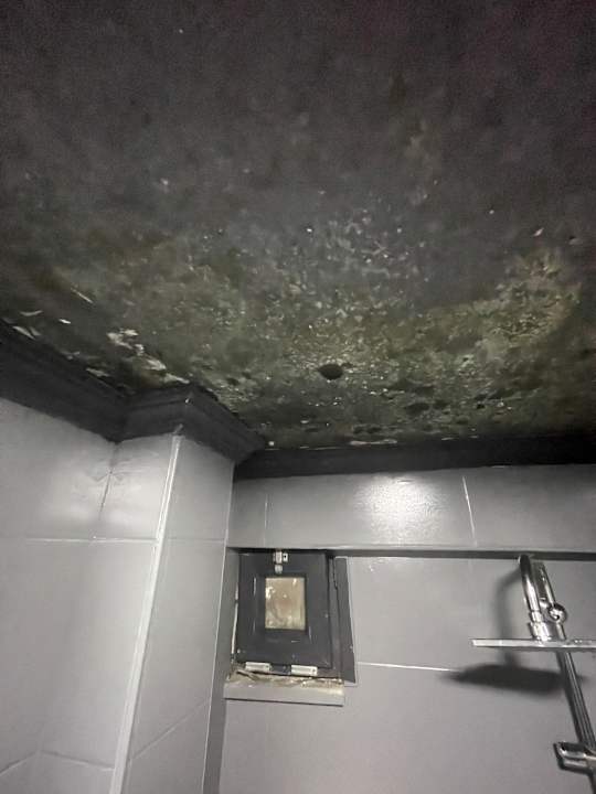 Zimmer Royal Suite Hotel