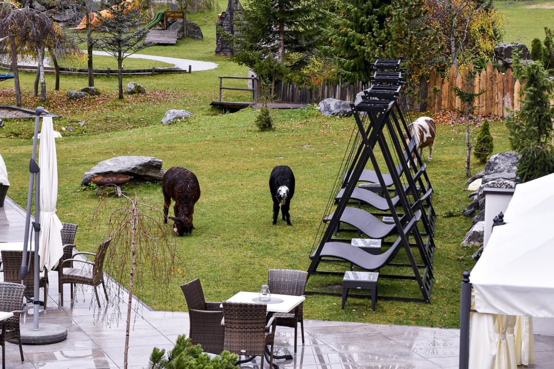 Ausblick Alphotel Tyrol
