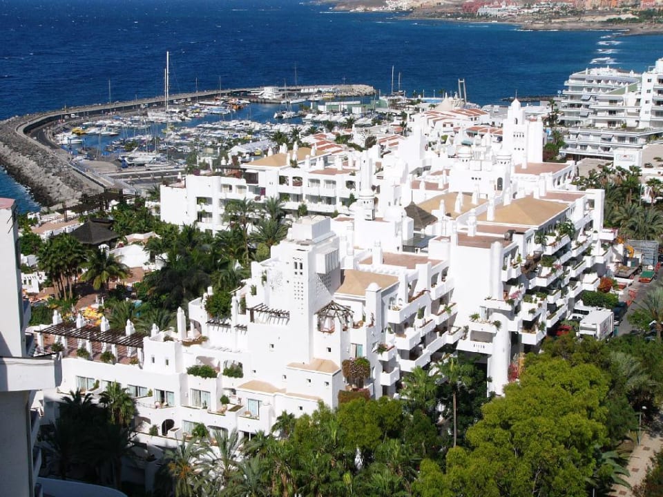 Jardin Tropical Dreams Jardín Tropical