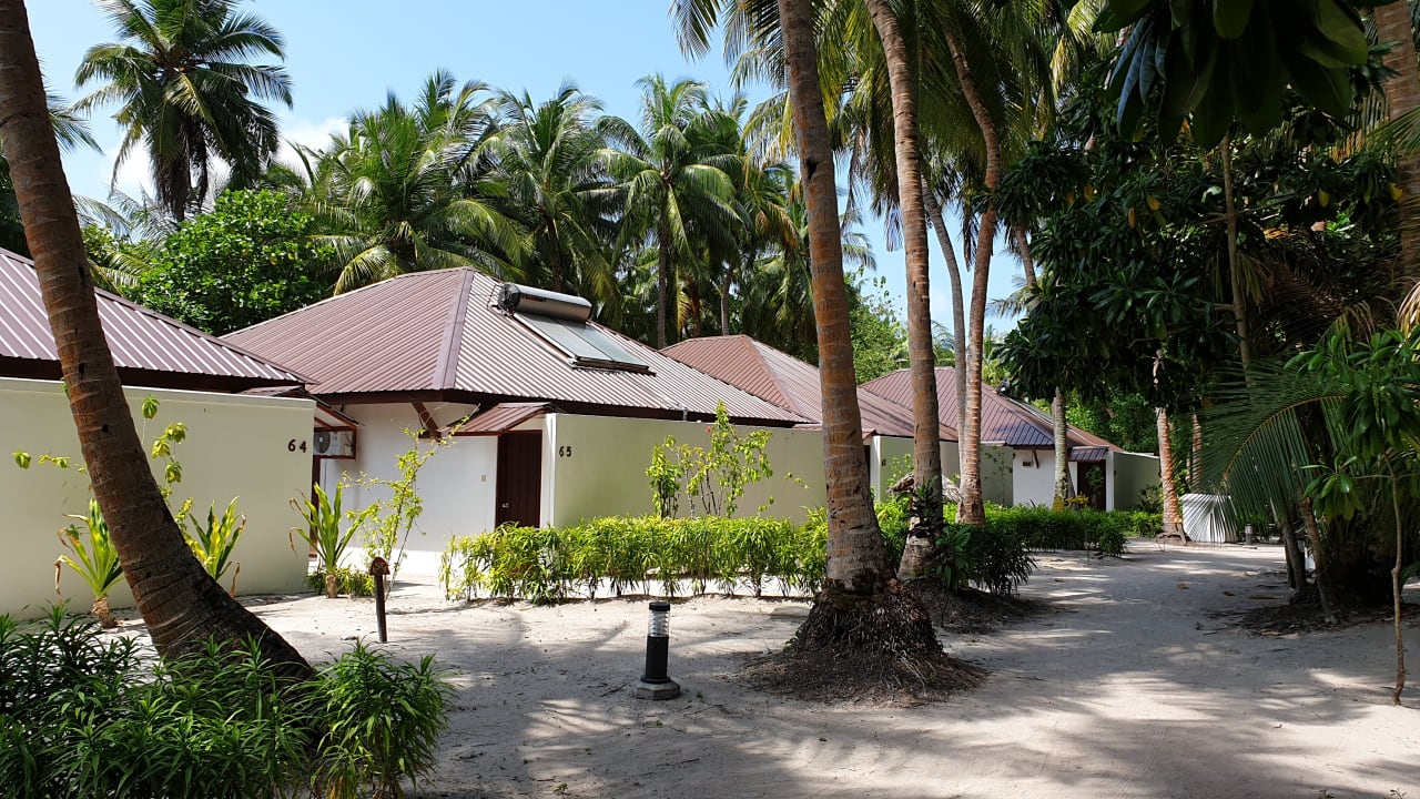 Gartenanlage Filitheyo Island Resort