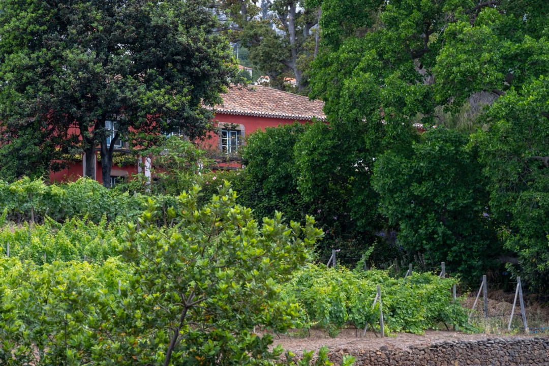Außenansicht Hotel Quinta das Vinhas