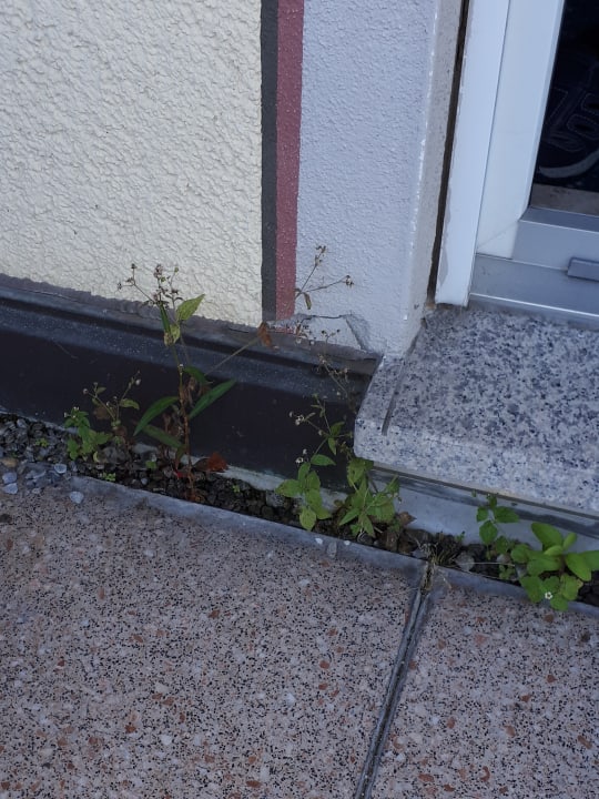 Außenansicht Hotel Gasthof Krone