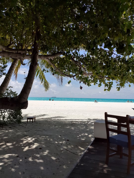 Gastro Meeru Maldives Resort Island