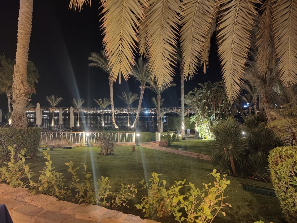 Garten Steigenberger Coraya Beach - Adults only