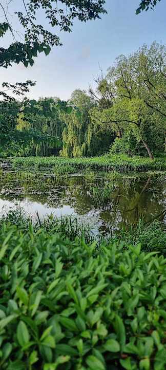 Gartenanlage Pałac i Folwark Galiny