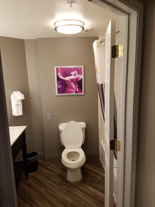 Zimmer Hotel La Quinta Inn and Suites Scottsdale
