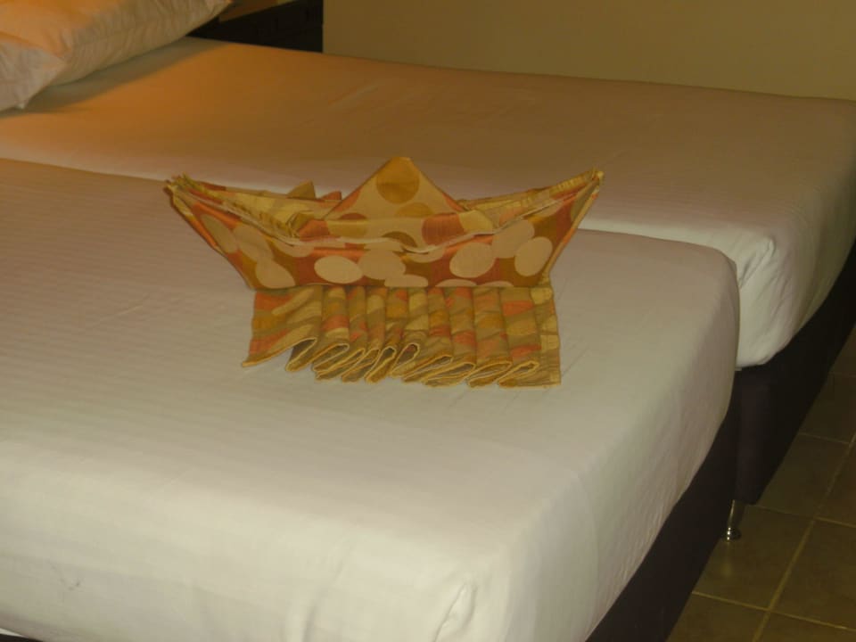 Jeden Tag ein Kunstwerk Coral Sun Beach
