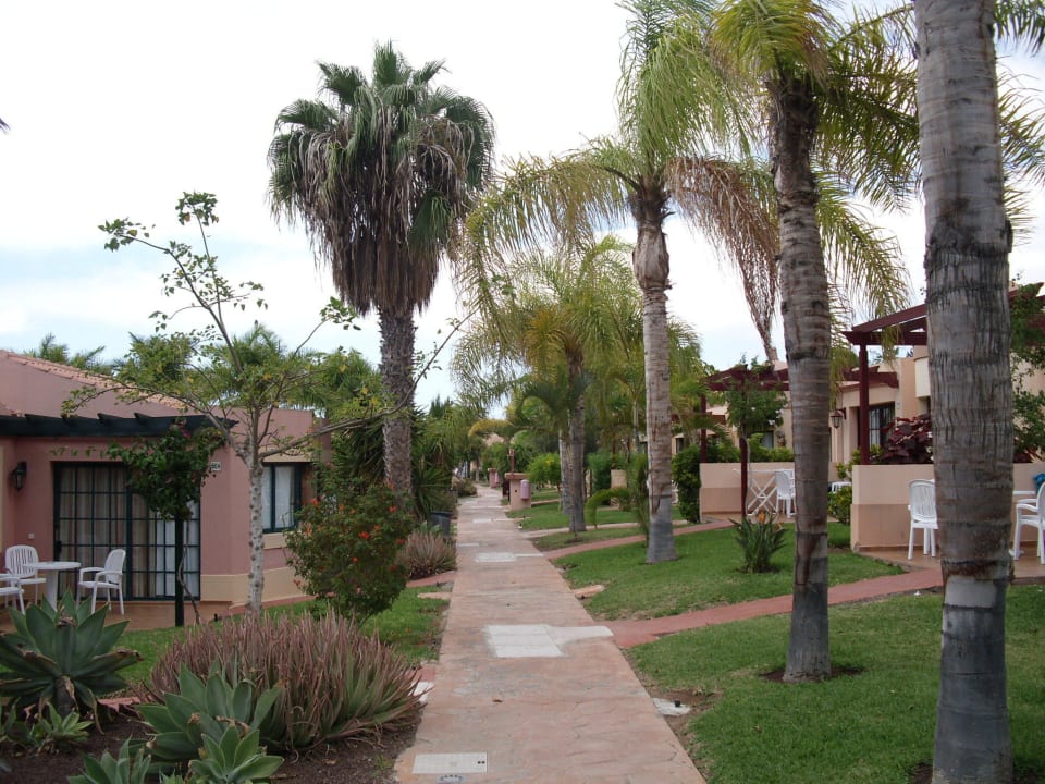 Grünanlage zu den Bungalow allsun Hotel Esplendido