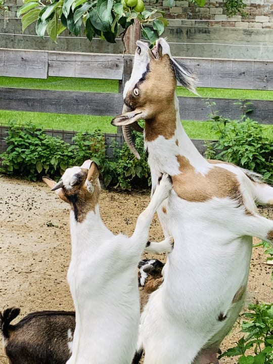 Sport & Freizeit Hotel Gasthof Kröll