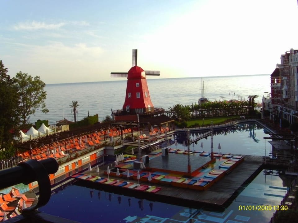 Mole Orange County Kemer