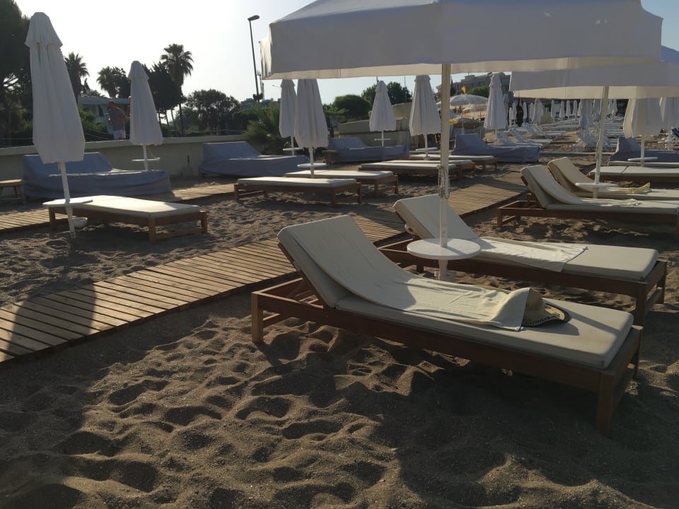 Strand Acanthus Cennet Barut Collection