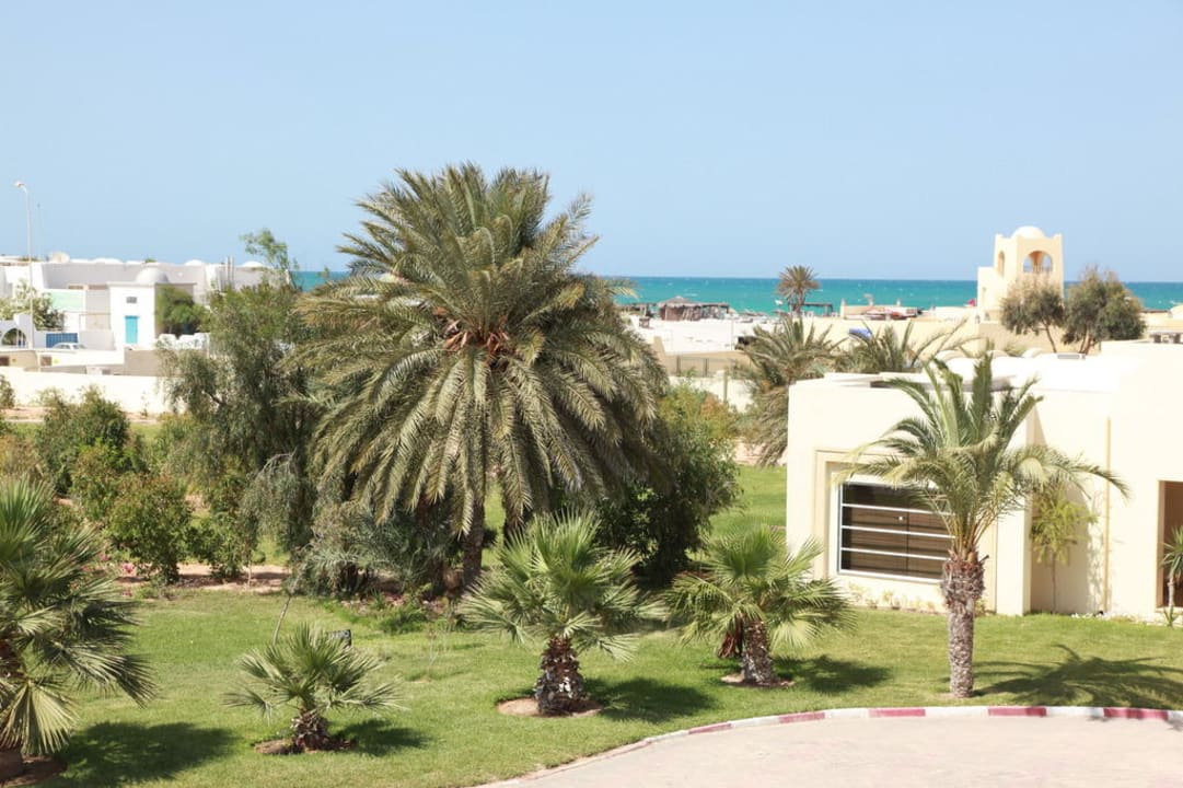 Здания и растения TUI MAGIC LIFE Penelope Beach