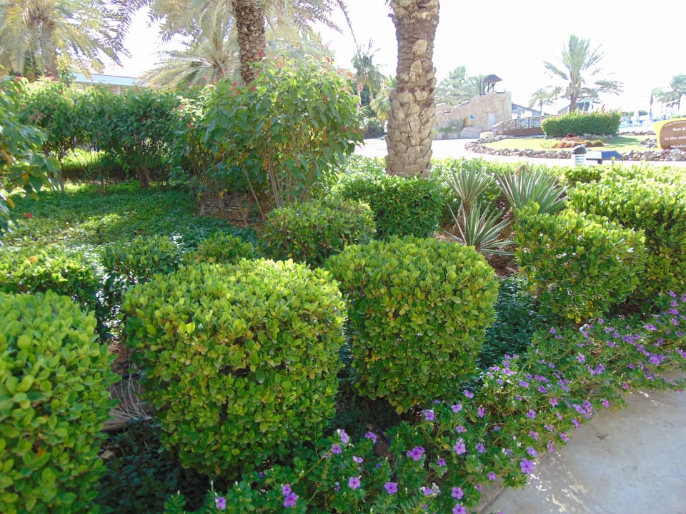 Gartenanlage Fujairah Rotana Resort & Spa