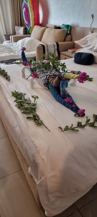 Zimmer Amarina Abu Soma Resort & Aquapark