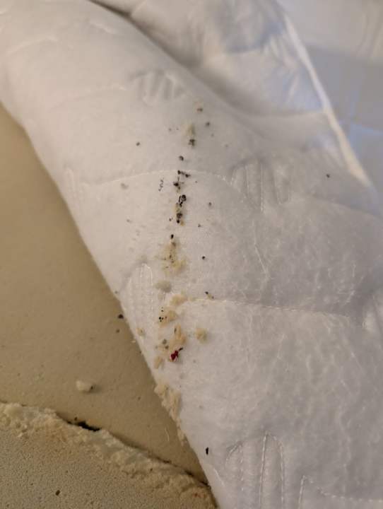 Zimmer TUI KIDS CLUB Alex Beach