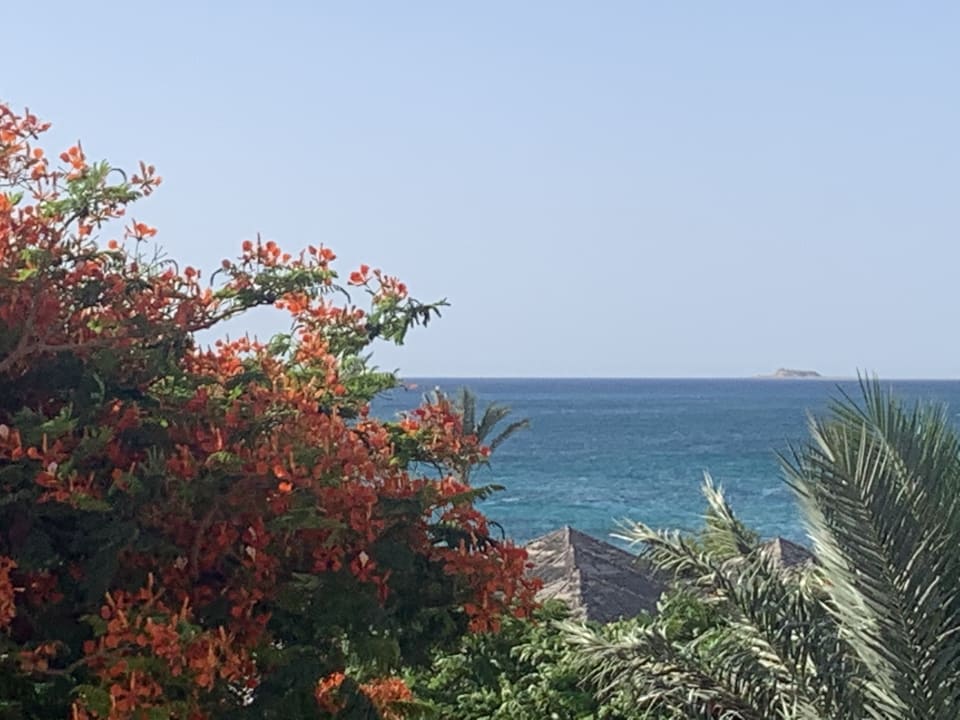 Ausblick Sentido Caribbean World Soma Bay