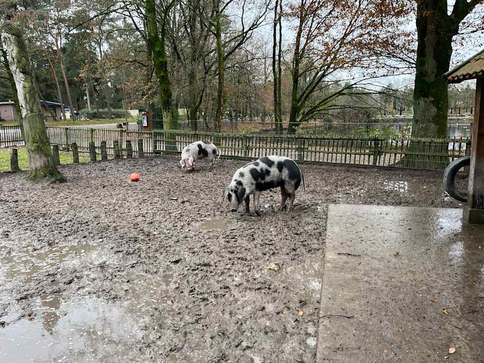 Sport & Freizeit Center Parcs De Kempervennen