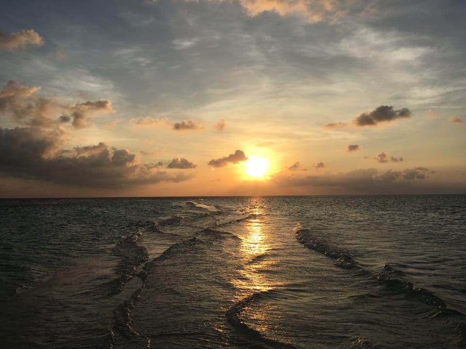 Strand Gangehi Island Resort
