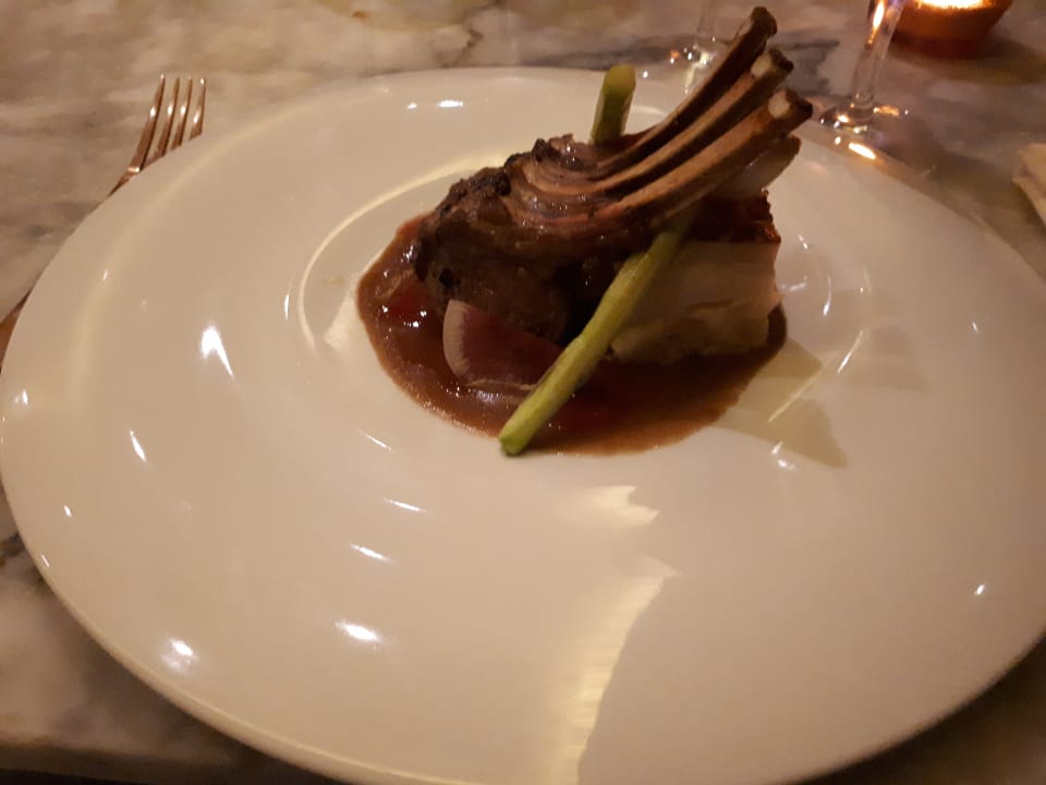 Gastro TRS Coral Hotel - Adults Only