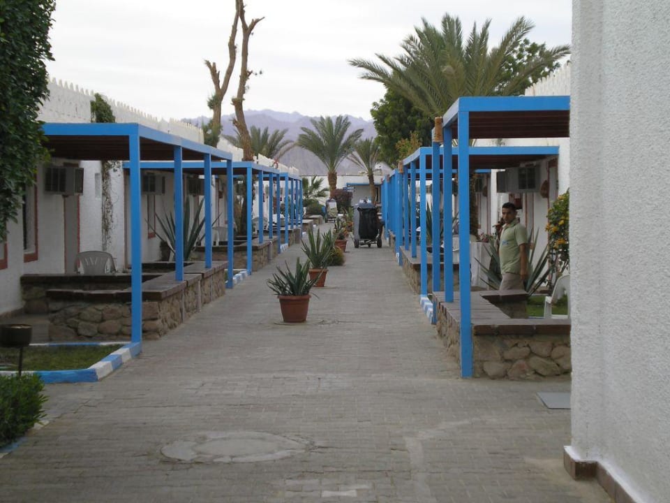 Familienzimmer Albatros Sharm Resort