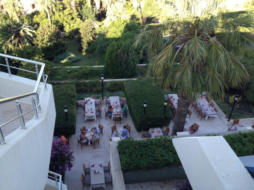 Ausblick auf die Außenterrasse Side Star Elegance