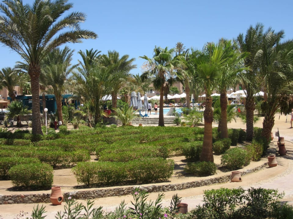 Blick in den Garten Club Paradisio El Gouna, Red Sea
