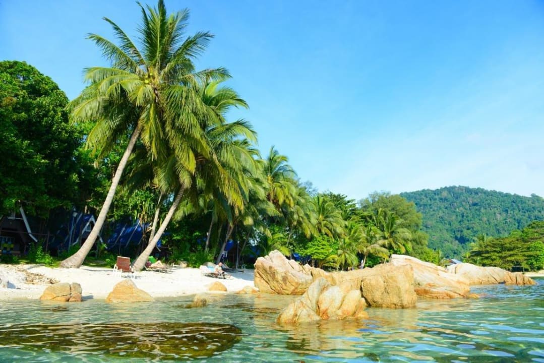 Strand Hotel Coral View Island Resort