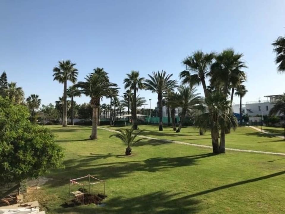Gartenanlage The Golden Bay Beach Hotel