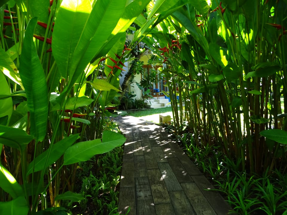 Gartenanlage Bangsak Village