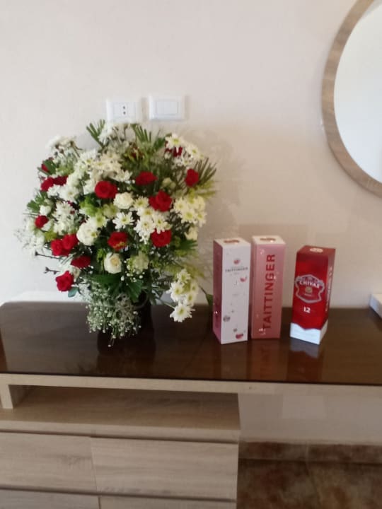 Sonstiges Pickalbatros Citadel Resort