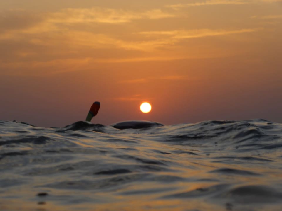 Strand Malikia Resort Abu Dabbab