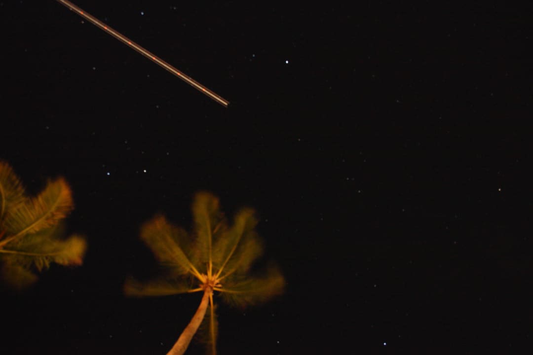 Bei Nacht Punta Cana Princess All Suites Resort & Spa