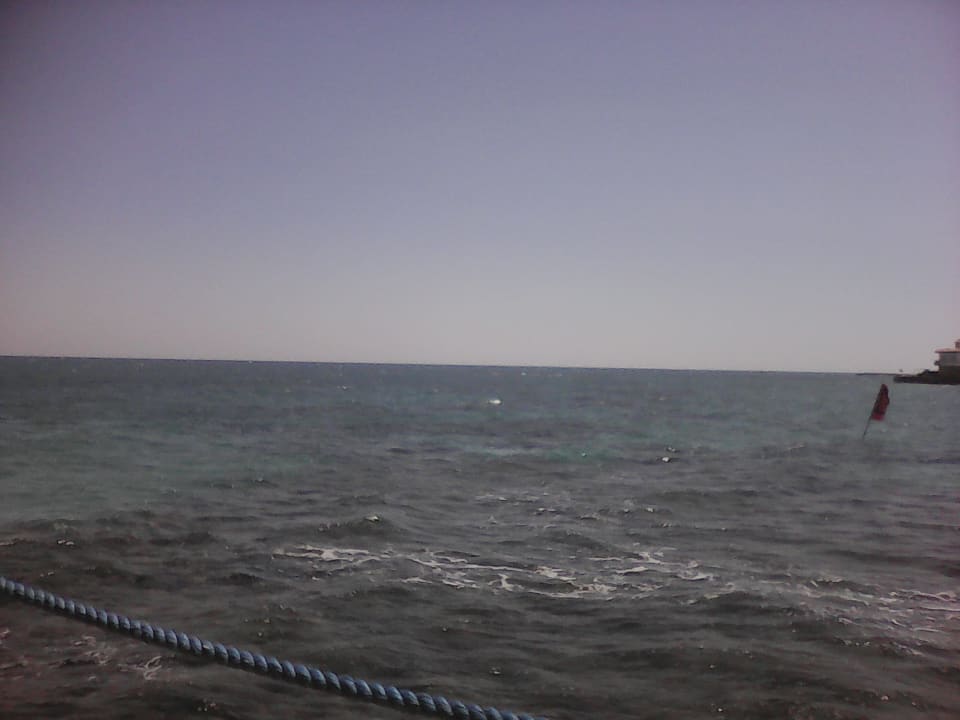 Ausblick Desert Rose