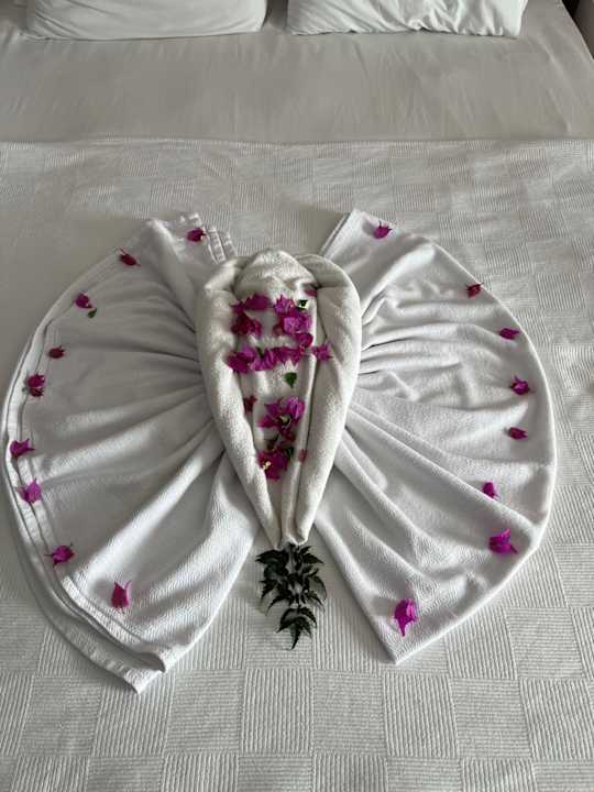 Zimmer Eftalia Ocean Resort & Spa