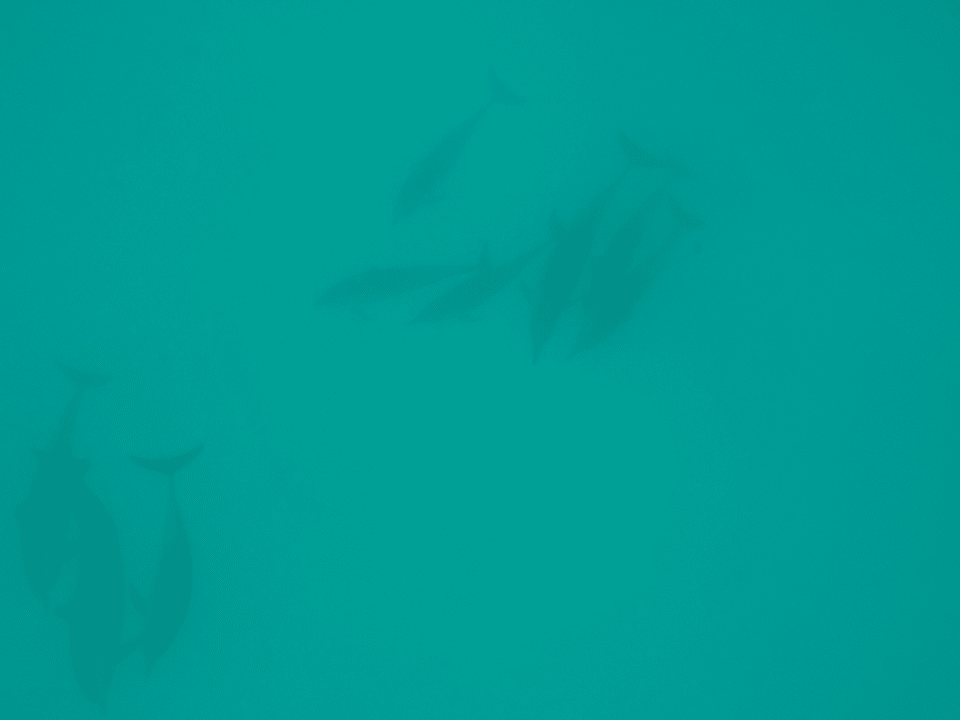 Delphine  OZEN LIFE MAADHOO