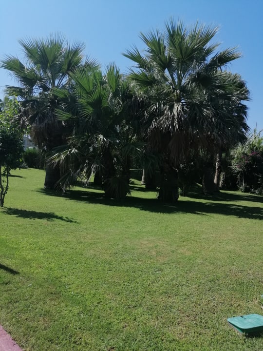 Gartenanlage VONRESORT Golden Beach