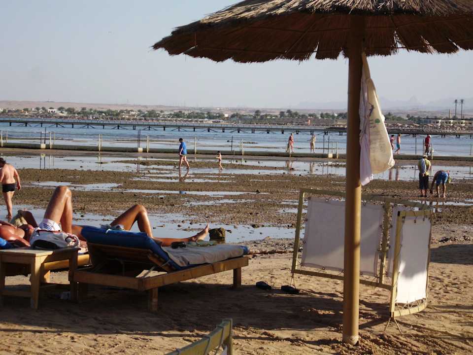 Strandlage Pickalbatros Palace Resort