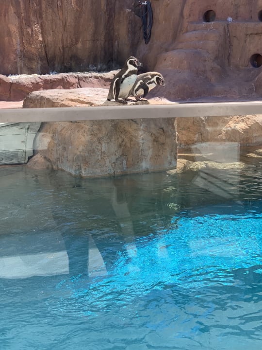 Sport & Freizeit The Land of Legends Kingdom Hotel