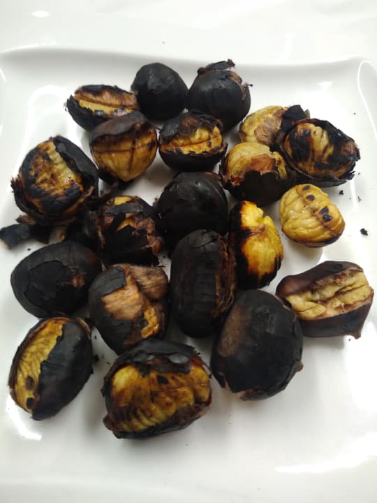 Gastro Hotel Gasserhof