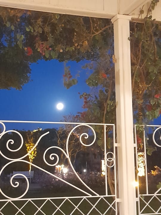 Ausblick Desert Rose