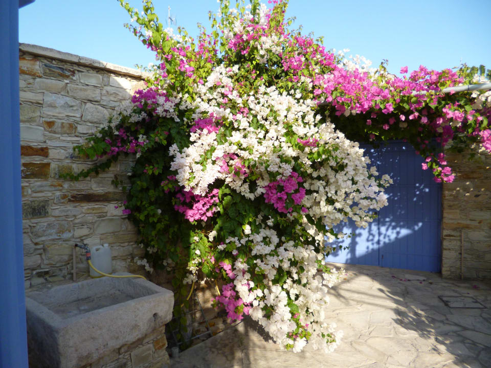 Eingang des Lito-Hauses Hotel Traditional Village Houses