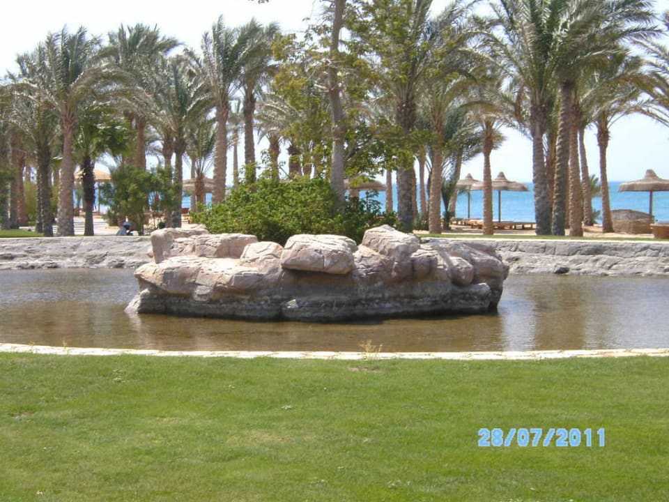 Überall viel Wasser und Pflanzen Palm Royale Resort - Soma Bay