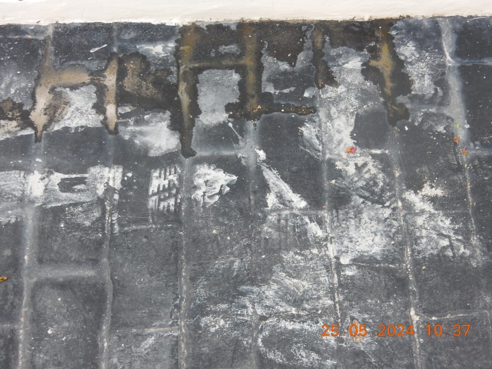 Zimmer Los Olivos Beach Resort