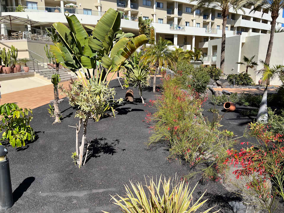 Gartenanlage Iberostar Waves Gaviotas Park