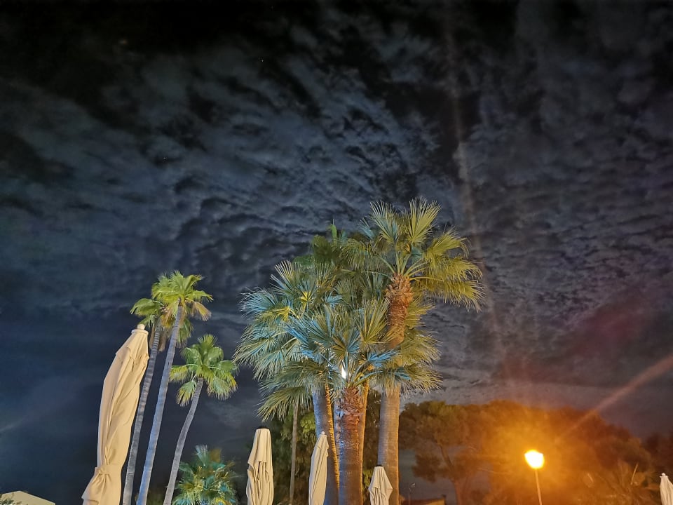 Gartenanlage allsun Hotel Eden Alcudia
